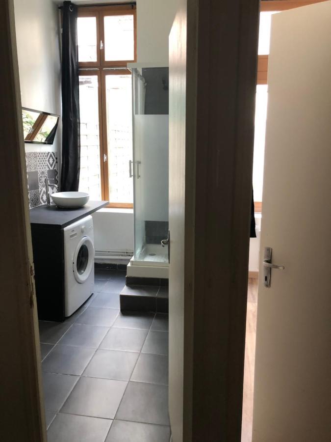 Appartement Et Son Jardin A Lille Fac De Droit ภายนอก รูปภาพ